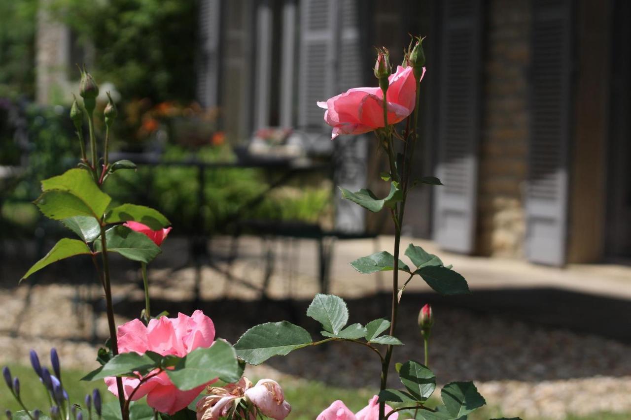 Chez Sophie Et Benoit Bed & Breakfast La Bussière-sur-Ouche Eksteriør bilde